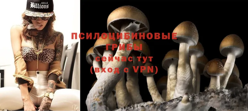 МЕГА онион  Ува  Псилоцибиновые грибы MAGIC MUSHROOMS 